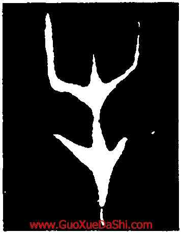 牛,第四期甲骨文,書法字典